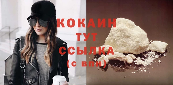 индика Верхний Тагил
