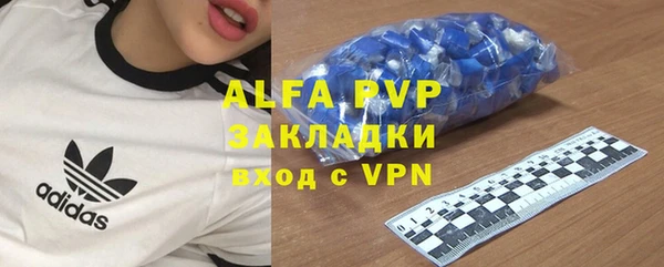 индика Верхний Тагил
