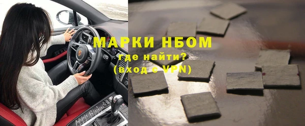индика Верхний Тагил