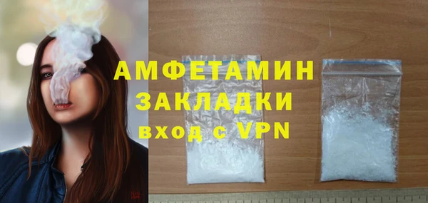 индика Верхний Тагил