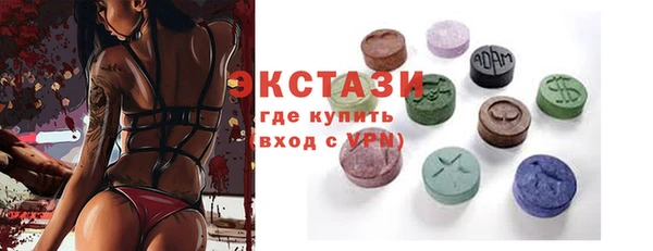 индика Верхний Тагил