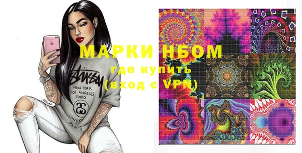 индика Верхний Тагил