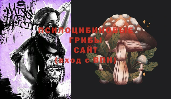 индика Верхний Тагил