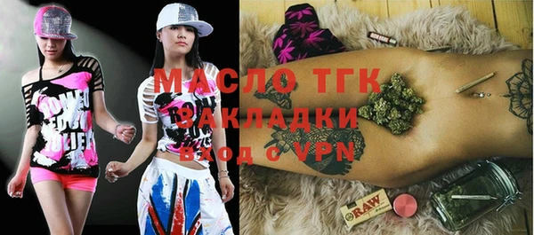 индика Верхний Тагил