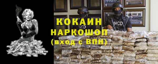 индика Верхний Тагил