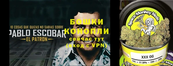 индика Верхний Тагил