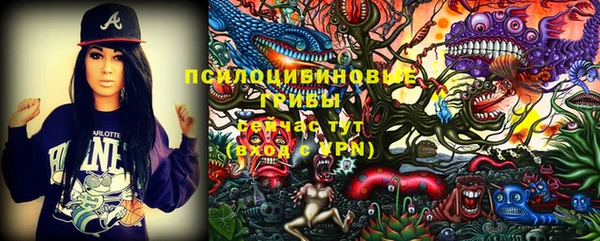 индика Верхний Тагил