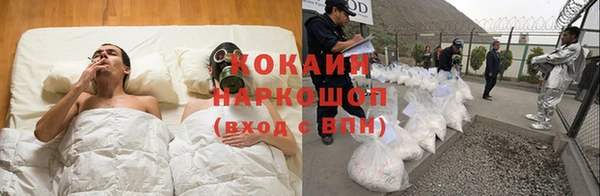 индика Верхний Тагил